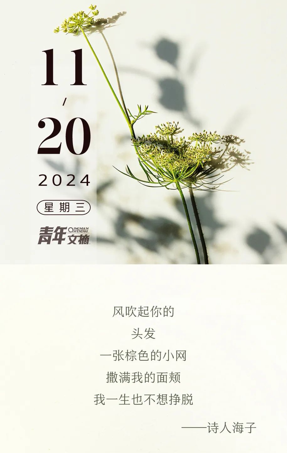 11.20星期三