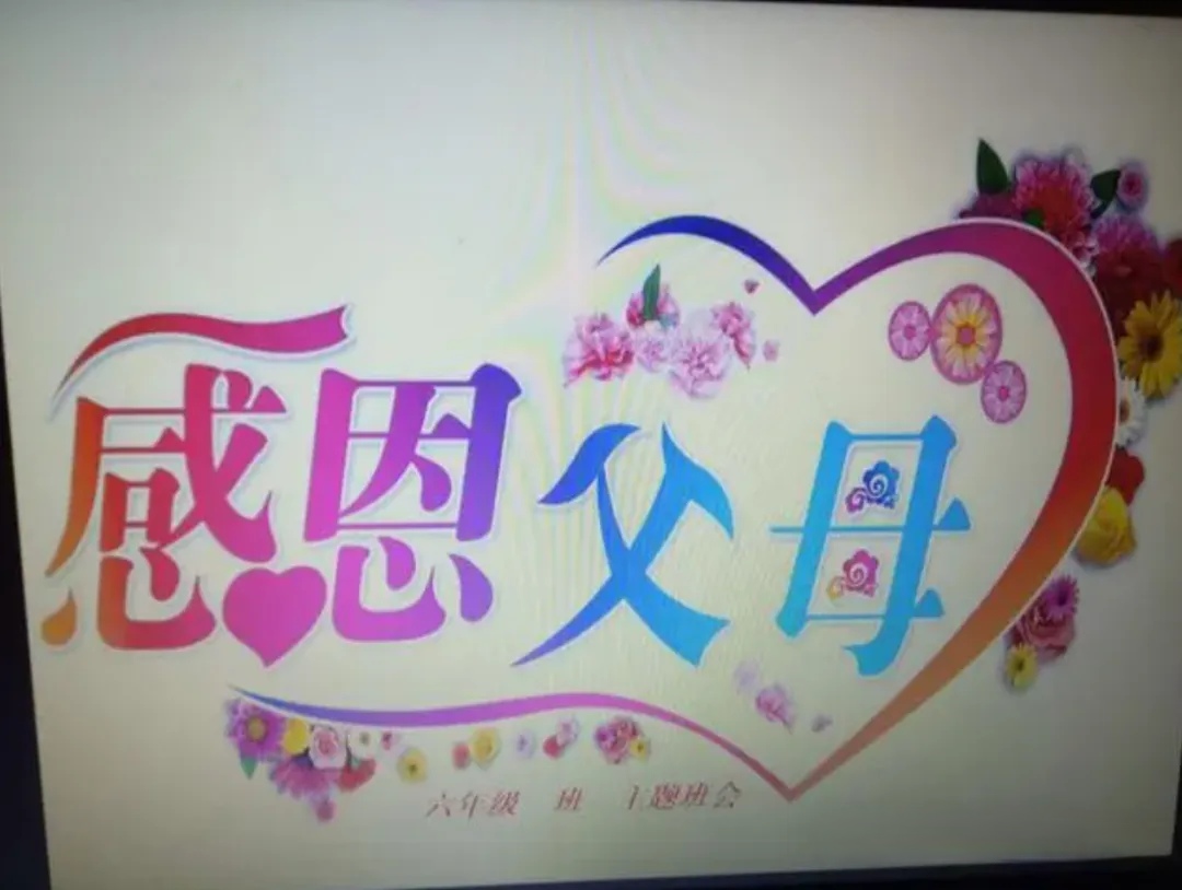 10173+孤狼+我最想对您说