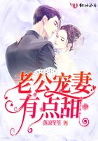 老公宠妻有点甜