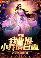 三国：我曹操，小乔请自重