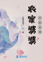 农家婆婆的致富路