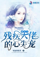 重生之残疾大佬的心尖宠