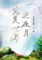 完美世界之夜月
