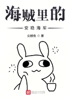 海贼里的安稳海军