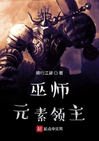 巫师：元素领主