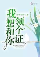 我想和你领个证